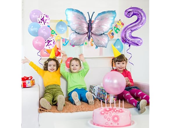 Butterfly 2nd Birthday Decorations