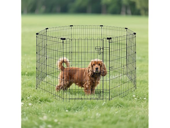 Amazon Basics Foldable Metal Exercise Dog Playpen 36"