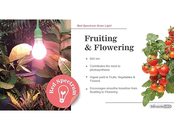 Growing Kit Red Spectrum 4KK 2pk