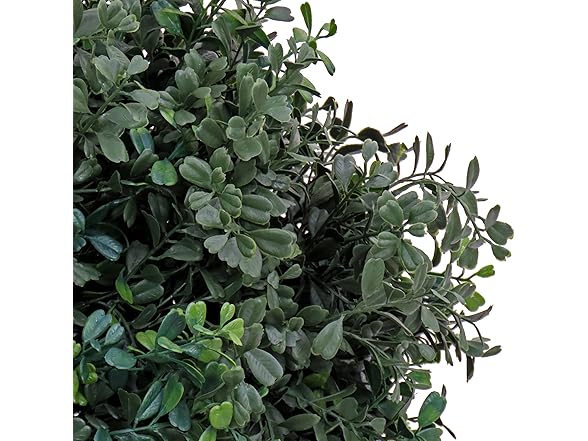National Tree Company 4 ft Boxwood Tree