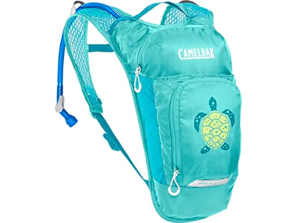 Turquoise/Turtle
