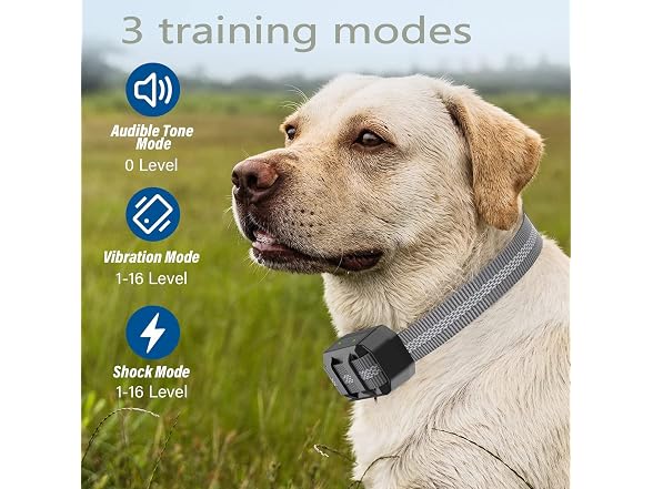 Pet Dog Stop Bark Training Collar with Remote