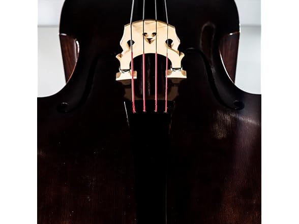 Thomastik-Infeld Contra Bass S