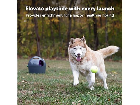 PetSafe Automatic Dog Ball Launcher