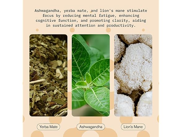 Focus Drink with Yerba Mate & Mushroom 2oz (3pk)