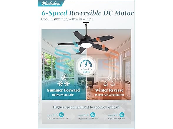 Fanbulous Outdoor Ceiling Fan with Lights