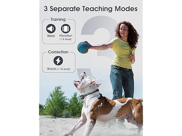 Evuime Dog Training Collar with Remote