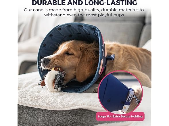 Ejona's furryfamily Dog Cone Collar