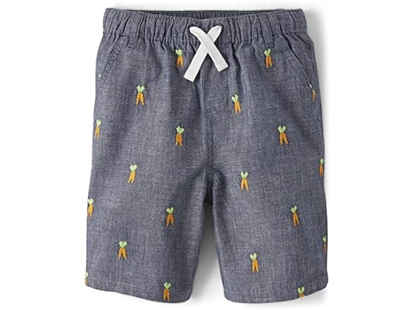 Gymboree Boys (3T) Toddler Embroidered Shorts
