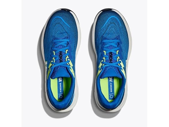Electric Cobalt/Varsity Navy
