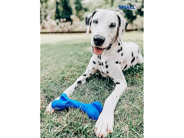 Durable Dog Chew Bone Toy 2-Pack Large