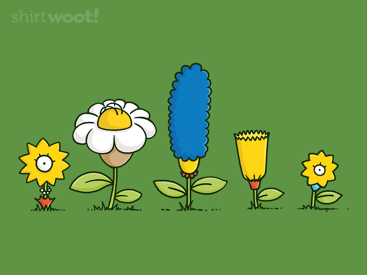 Spring Field - Gallery 4