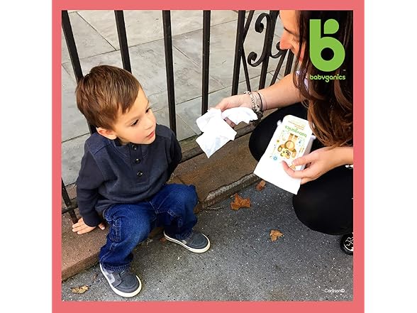 Babyganics, Wipes, 80 Count