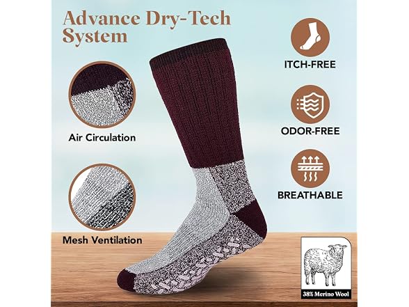 Debra Weitzner Women (10-13) Thermal Socks Socks