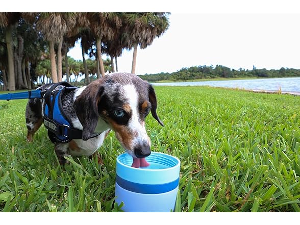 OhmyPet Pet Water Bottle Station with 3 Bowls
