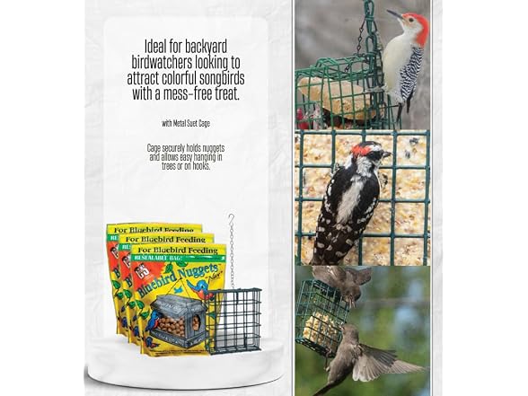 GROVE 3X C&S Bluebird Blueberry Suet Nuggets