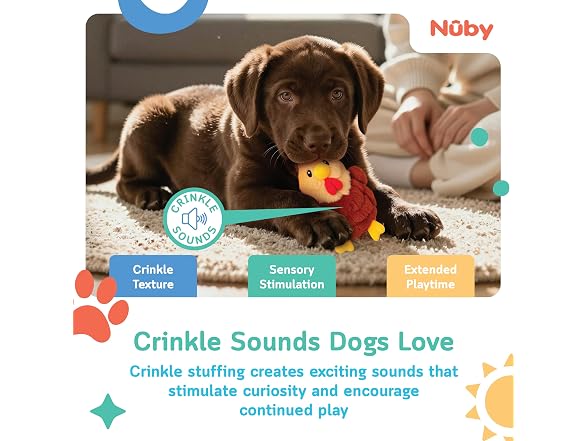 Nuby Nuby Plush Dog Toy 2-Pack Interactive