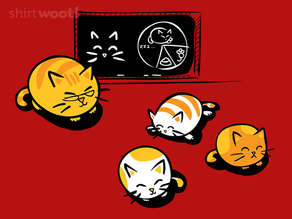 School for Cats