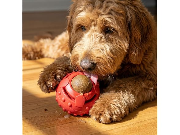 SPOT Seek-A-Treat Double Puzzle Ball Dog Toy