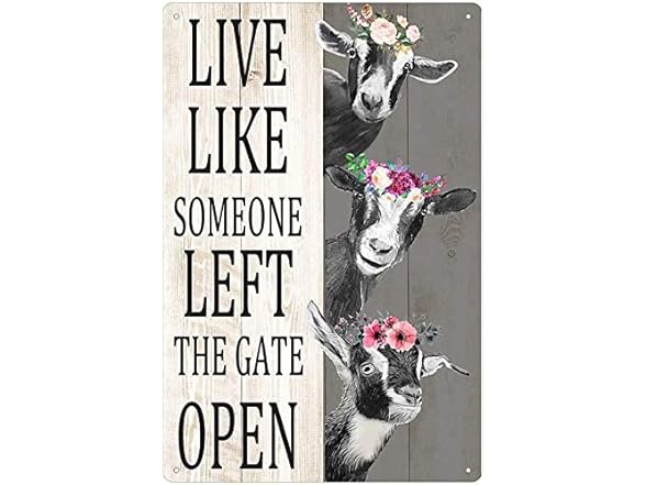 KJSKH Retro Metal Tin Sign Live Like 