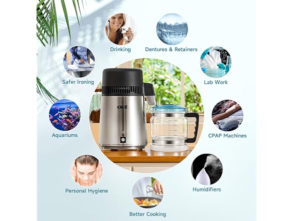 4L Brushed Stainless Steel 750W