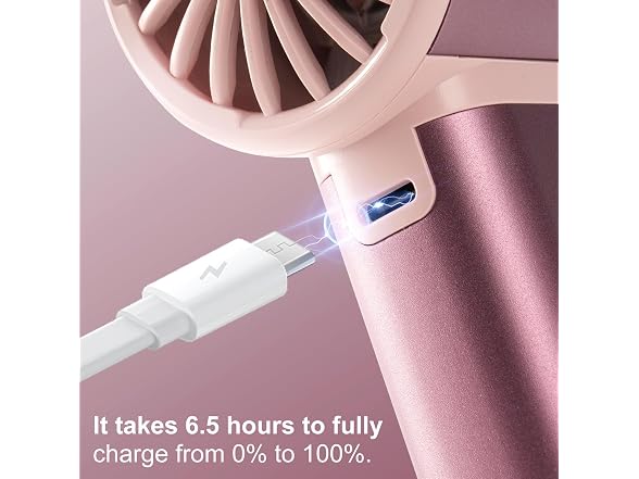 Sowmow Rose Gold Handheld Turbo Fan