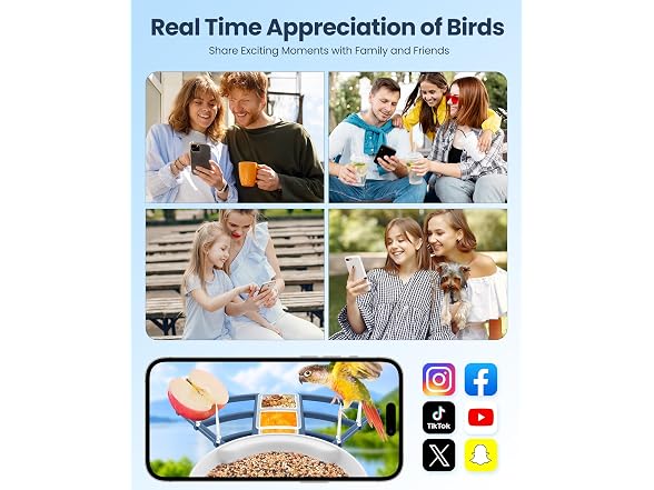 Smart Bird Feeder With Camera, Ai Bird