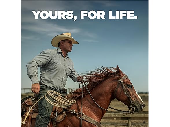 Benchmade Mini Osborne Knife - Cerakote Finish