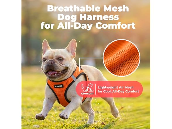 Voyager Step-in Air Dog Vest Harness Orange