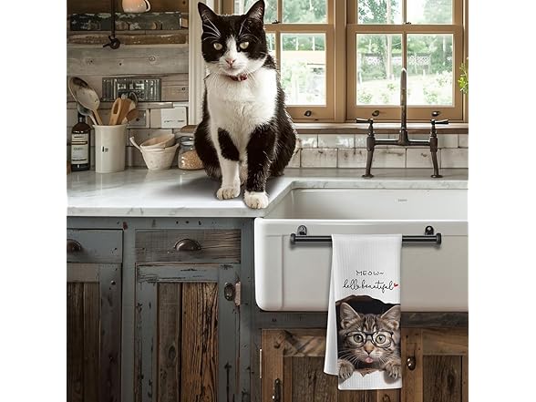 Funny Decorative Cat Kitchen Towels