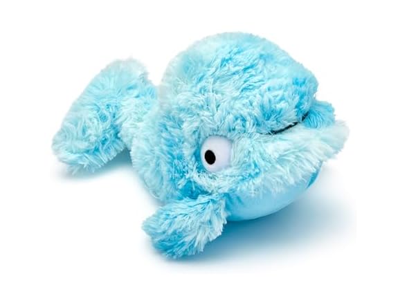 Blue Whale