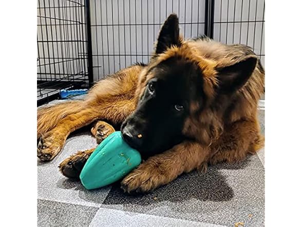 Chew King by Mammoth Premium Treat Dispensing Dog Toy