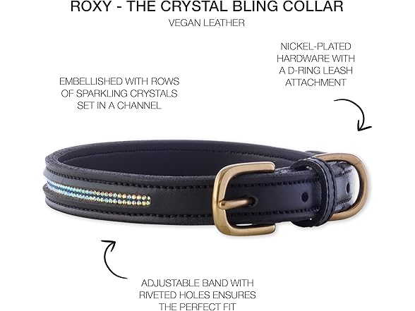 Pet Passion Vegan Leather Dog Collar