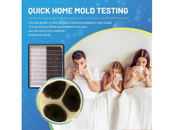 Mold Test Kit for Home,14 Simple