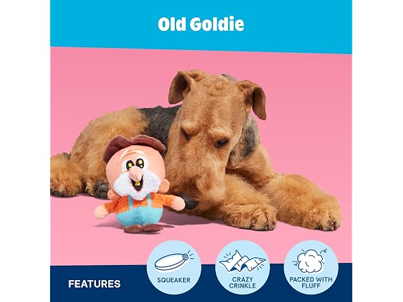 BarkBox BarkBox Old Goldie Dog Toy