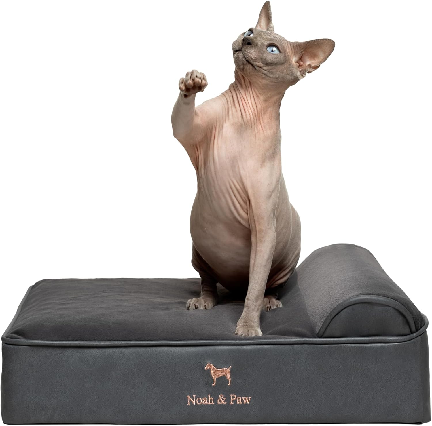 NOAH & PAW Orthopedic Dog Beds- Small - Gallery 12