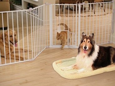 Carlson Pet Gates & Beds