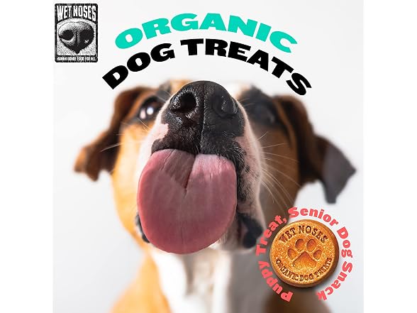 Wet Noses Organic Crunchy Dog Treats – All-Natural