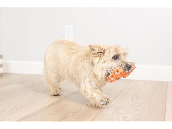 Chuckit! Holee Roller Dog Treat Puzzle Bone