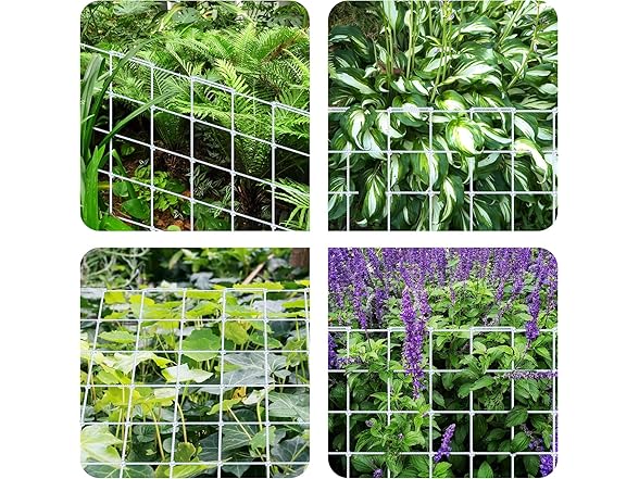 4x4' Elastic Trellis Net White