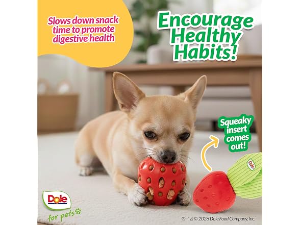 Dole for Pets Dog Puzzle Toy with Crinkle Squeak Insert