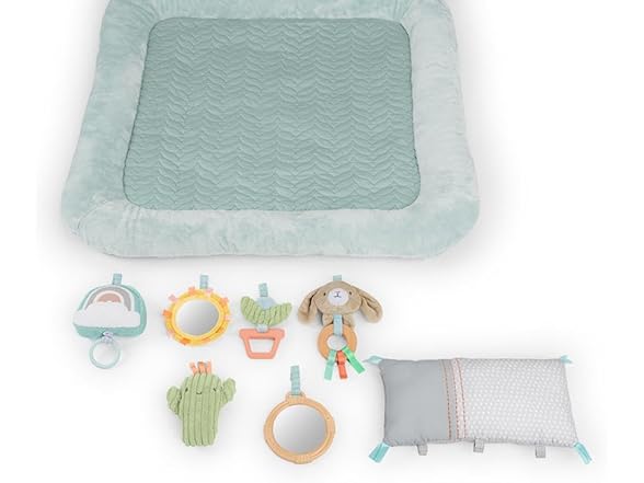 Ingenuity Calm Springs Plush Activity Gym