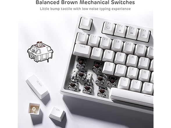 RK Sink87G Wireless TKL Mechanical Gaming Keyboard