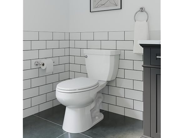 PROFLO PF01PH Gerald Wall Mounted Spring Toilet Paper Holder
