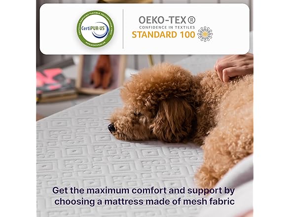 NapQueen 6 Inch Twin-XL Size Mattress