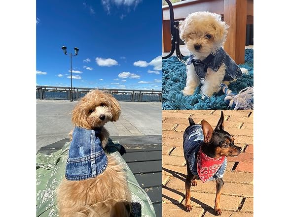 Jean Jacket for Dogs Blue Lapel Vest Coat Co