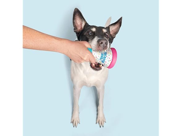 Barkbox Treat Yourself Party Hat Dog Toy | Rip & Reveal