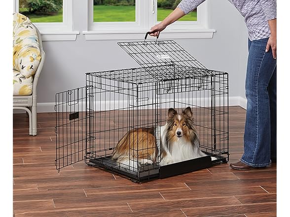 MidWest Homes for Pets Medium Dog Crate