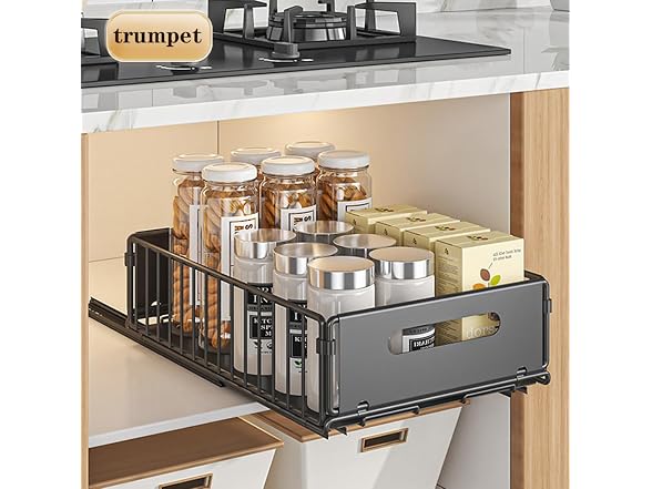 dainslef Pull Out Cabinet Organizer