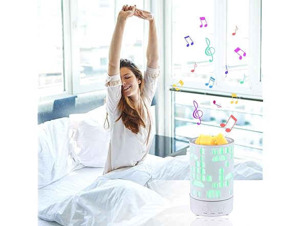 Hituiter Wax Melts Warmer